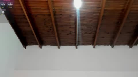 Snapshot of milarose4 chatting on January 19, 12:28 pm Mila Rose online show from January 19, 12:28 pm