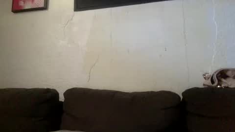 BabygirlsFreaky online show from May 24, 3:17 pm