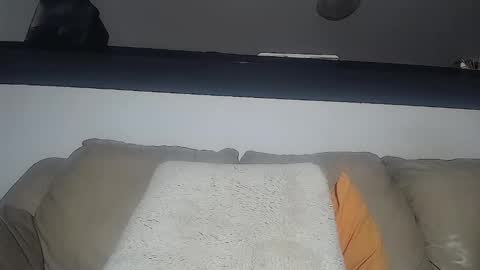 C online show from February 3, 7:40 am