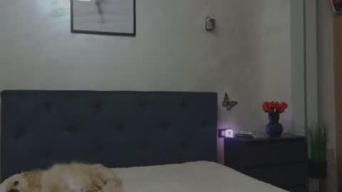 Snapshot of miriam04 chatting on December 4, 10:29 pm miriam04 online show from December 4, 10:29 pm