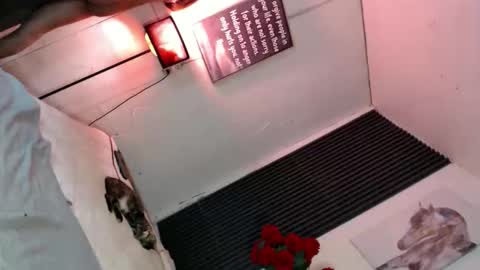 Snapshot of miss_bella69 chatting on November 5, 12:10 am miss_bella69 online show from November 5, 12:10 am