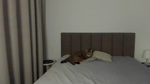 Snapshot of miss_emilyy chatting on February 9, 8:13 pm Emily online show from February 9, 8:13 pm