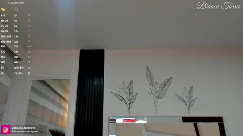 Bianca Torres online show from February 14, 11:20 pm