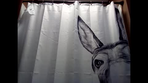 Snapshot of misseeva chatting on December 5, 6:44 pm MissEeva online show from December 5, 6:44 pm