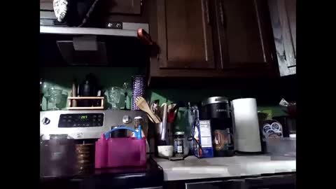 Snapshot of misseeva chatting on December 14, 6:46 am MissEeva online show from December 14, 6:46 am