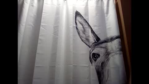 Snapshot of misseeva chatting on December 19, 6:23 pm MissEeva online show from December 19, 6:23 pm