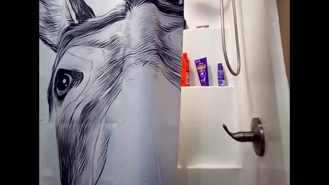 Snapshot of misseeva chatting on February 26, 3:10 am MissEeva online show from February 26, 3:10 am