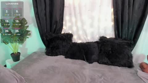 Alejandra  online show from December 6, 1:44 pm