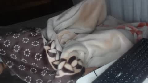 Snapshot of misspink152015 chatting on December 28, 4:30 am sarah online show from December 28, 4:30 am