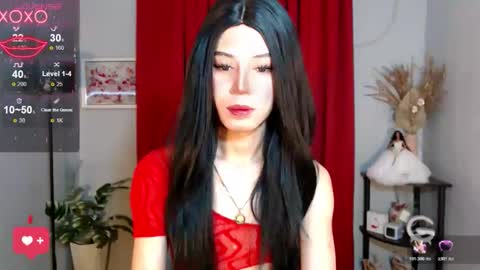 Snapshot of misstransstella69 chatting on November 17, 7:36 am Stella online show from November 17, 7:36 am