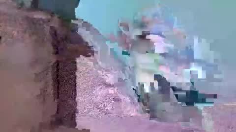 Mister Gringo online show from February 11, 5:40 pm