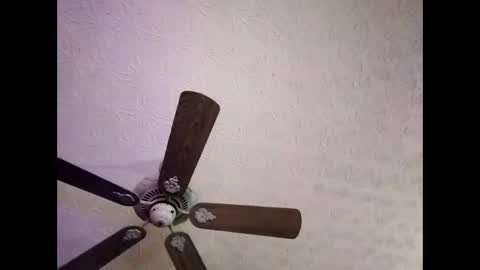 BobbyMitchGa online show from January 4, 6:41 am