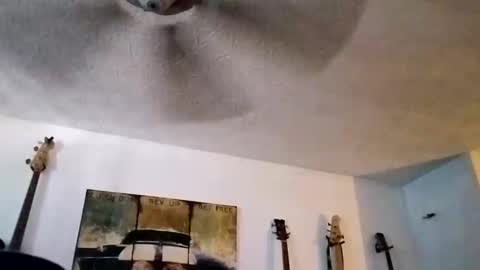 BobbyMitchGa online show from September 14, 6:18 pm