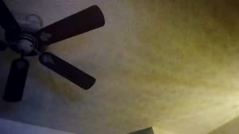 BobbyMitchGa online show from October 10, 8:13 am