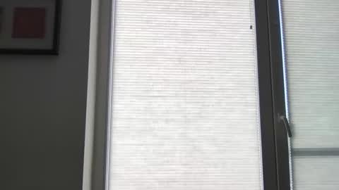 mko88951 online show from April 22, 10:50 am