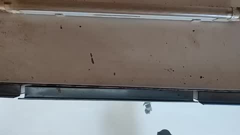 Snapshot of modelo_web18 chatting on September 24, 12:08 pm camilo online show from September 24, 12:08 pm