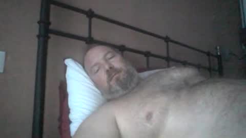 Snapshot of mofu781s chatting on December 16, 8:52 am mofu781s online show from December 16, 8:52 am