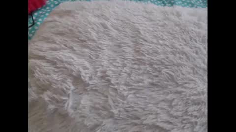 Molly And Brad online show from February 6, 10:21 pm