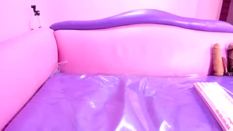 carolina online show from February 18, 3:10 pm