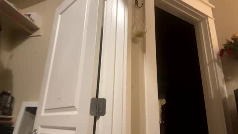 Monroe online show from December 8, 7:37 am