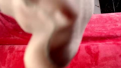 moolly_evanz online show from February 4, 2:34 pm