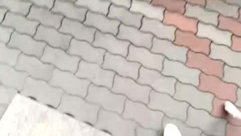 moos1 online show from September 12, 12:16 pm