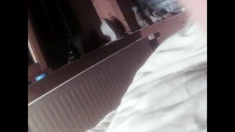 moos1 online show from September 16, 6:42 pm