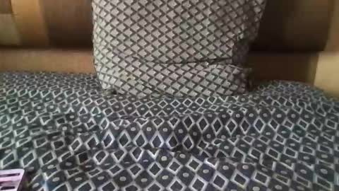 morrow7 online show from September 9, 2:27 pm