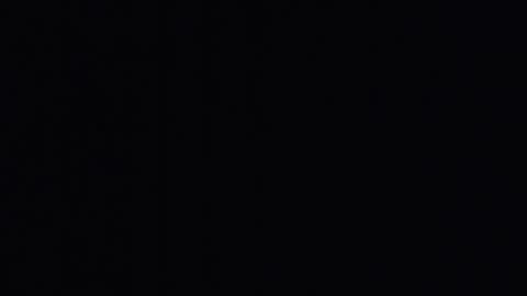 mr_fox69 online show from April 22, 9:33 am