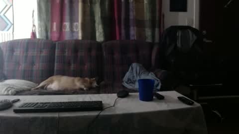 mr_happy12 online show from September 23, 1:19 am