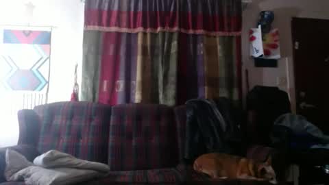 mr_happy12 online show from November 7, 11:49 pm