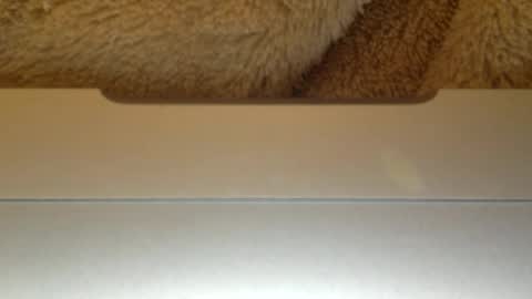 Snapshot of mr_himm chatting on April 23, 12:56 am mr_himm online show from April 23, 12:56 am