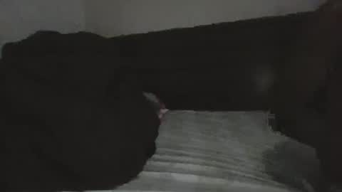 Snapshot of mr_hooked chatting on November 18, 4:06 am mr hooked online show from November 18, 4:06 am