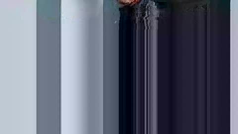 mr_i_ online show from March 10, 8:37 am