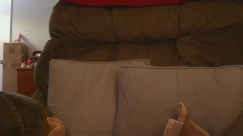 mrbrigggs online show from January 9, 1:03 pm