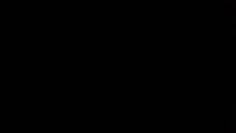 Nikola online show from April 10, 8:41 am