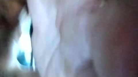 Snapshot of mrhotcock7inch chatting on December 27, 8:24 am mrhotcock7inch online show from December 27, 8:24 am