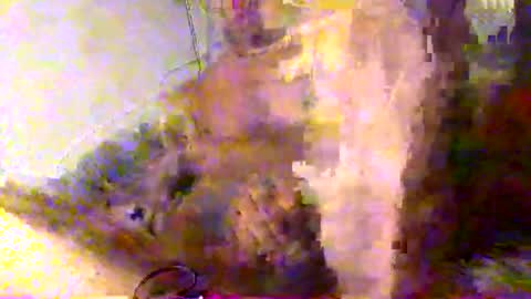 mrkoterz online show from April 18, 10:19 am