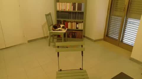 mrkurt86 online show from November 19, 1:55 pm