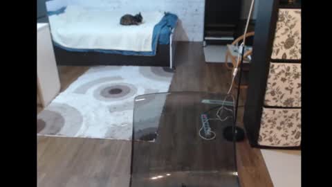 Snapshot of mrsluck chatting on March 11, 3:23 pm Sasha online show from March 11, 3:23 pm