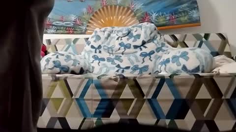 ms2wet4u1000 online show from November 5, 12:16 pm