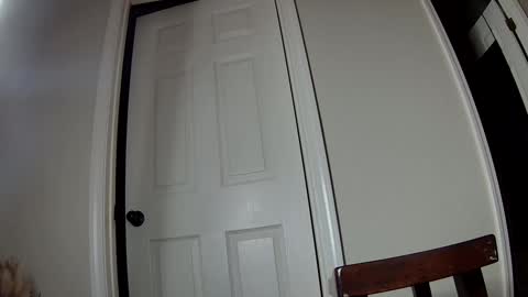 Snapshot of ms_queen chatting on December 2, 3:37 am missqueenbbw online show from December 2, 3:37 am