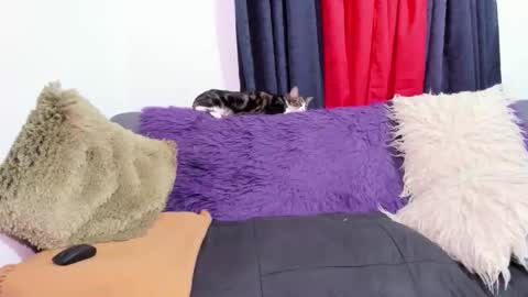 Snapshot of msjustine4u chatting on October 31, 1:17 am Miss Justine online show from October 31, 1:17 am