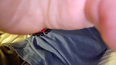 mtnclimber1 online show from November 19, 10:54 pm