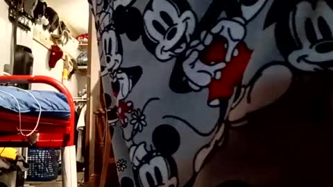 muddflapz online show from October 6, 10:56 am