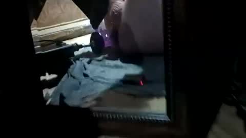 muddflapz online show from November 7, 8:47 am