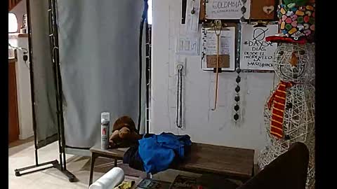 LA MARIPOSA DE MARICOPA online show from December 25, 10:50 am