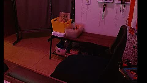 LA MARIPOSA DE MARICOPA online show from January 8, 8:27 am