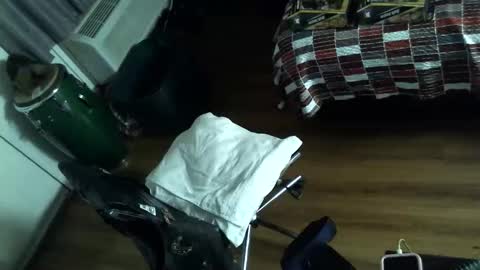 Snapshot of mycock4u247 chatting on November 9, 7:50 am LA MARIPOSA DE MARICOPA online show from November 9, 7:50 am