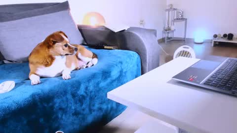 Anda online show from March 7, 1:20 am